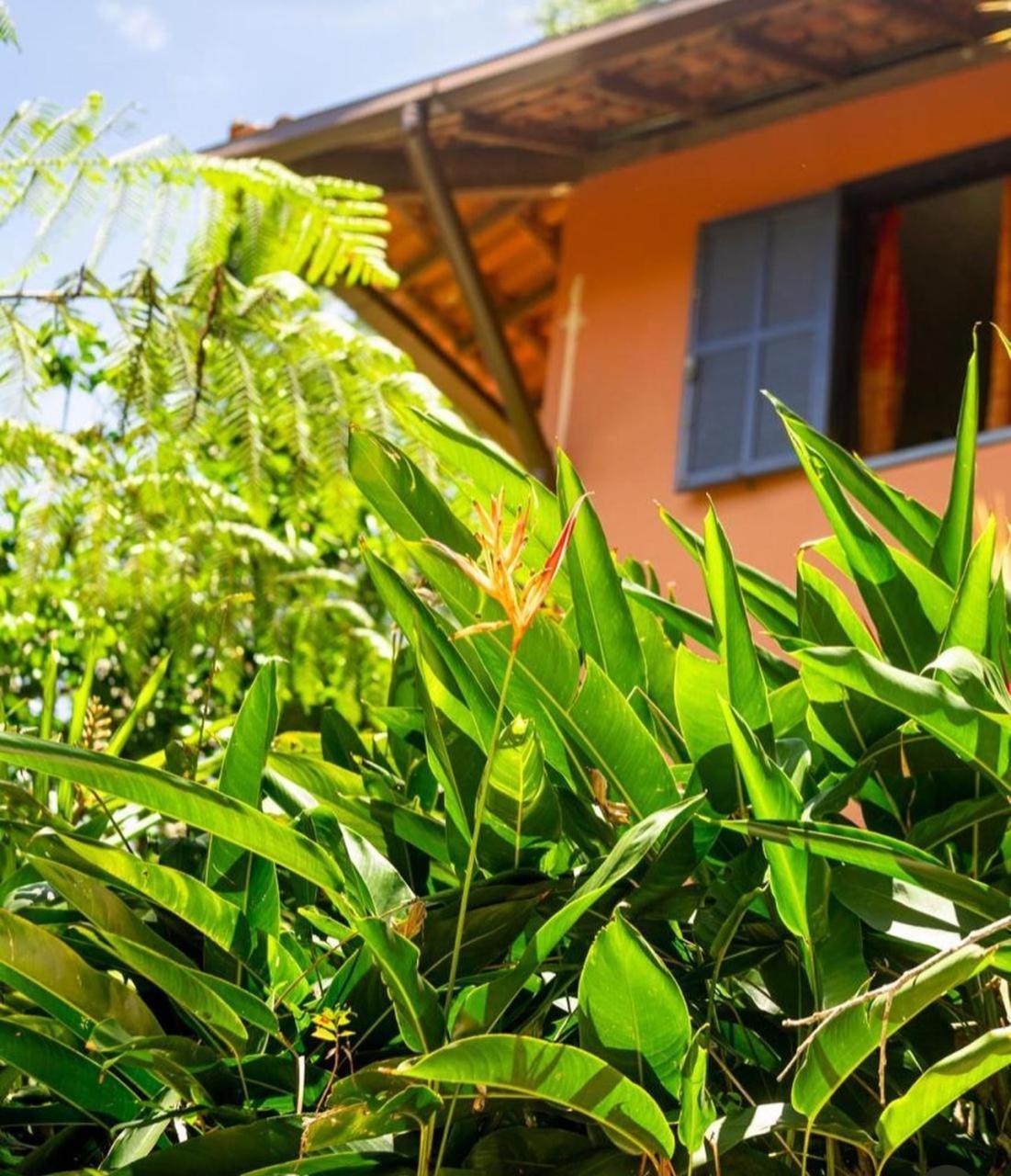 Sitio Flor das Aguas Lumiar Exterior foto